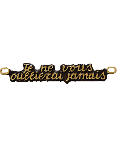 JE NE VOUS OUBLIERAI JAMAIS