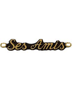 SES AMIS