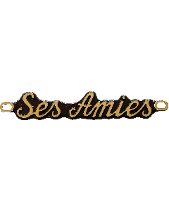 SES AMIES