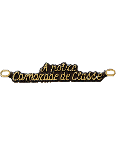 A NOTRE CAMARADE DE CLASSE