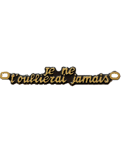 JE NE T OUBLIERAI JAMAIS