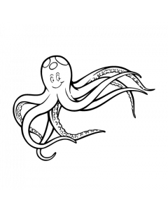 pieuvre