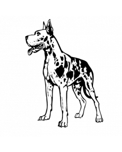 chien1