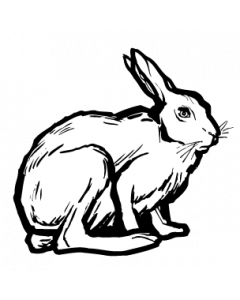 lapin
