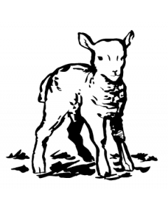 agneau
