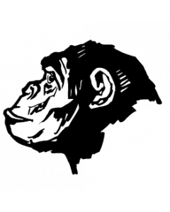 singe