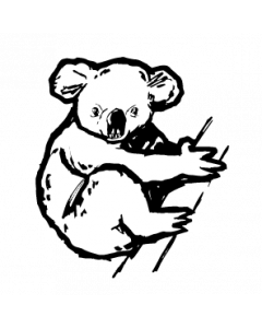 koala