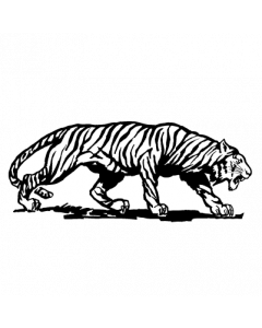 tigre