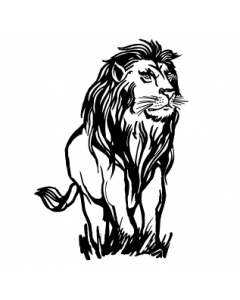 lion1