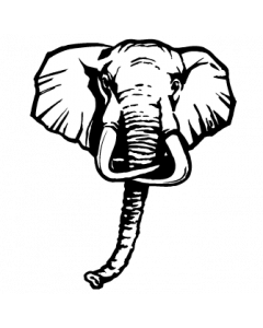 elephant-tete