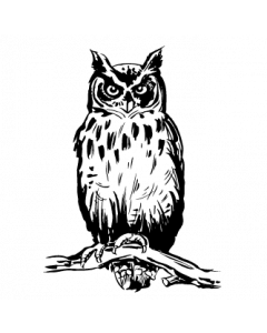 hibou-grand-duc