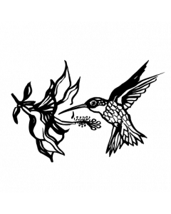 colibri