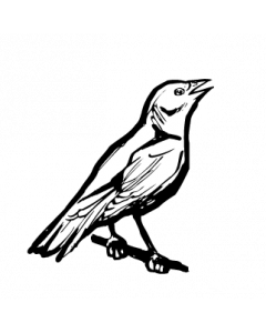 oiseau