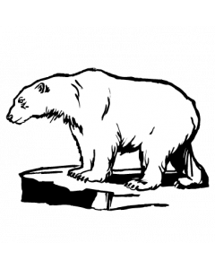 ours-polaire