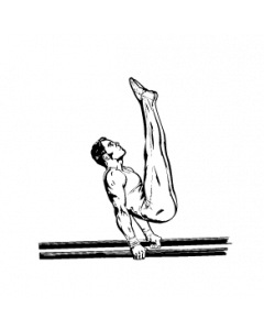 gymnaste5
