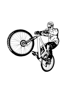vtt