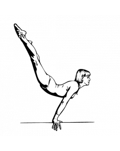 gymnaste2