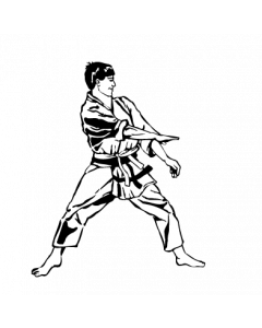 karateka1