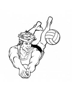volley-ball