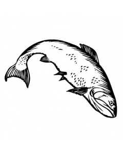 poisson1