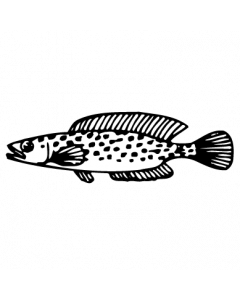 poisson2