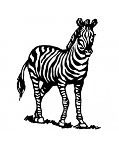 zebre
