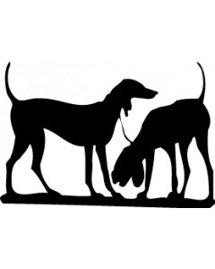 chien-chasse-ccvC7_050