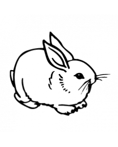 lapin