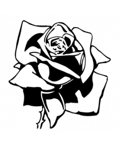 rose4