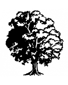 arbre