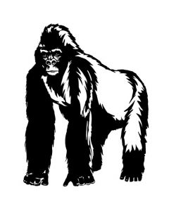 singe1