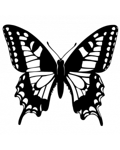 papillon1