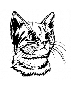 chat 0