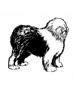 chien