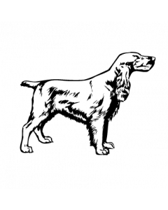 chien 5