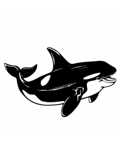 baleine1