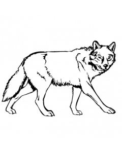 loup1