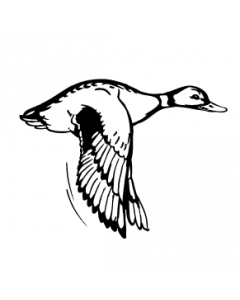canard-col-vert