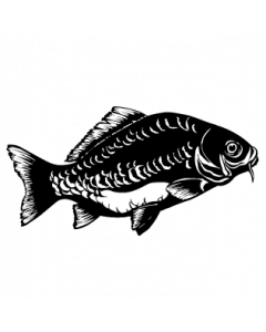 carpe