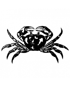 crabe