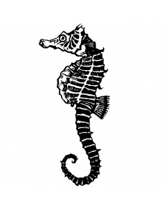 hippocampe