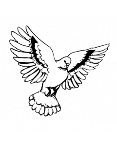 colombe