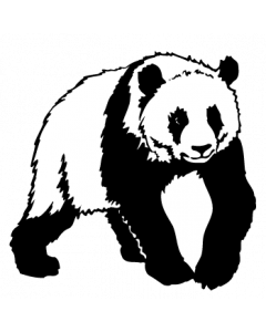 panda
