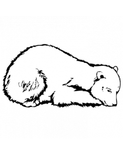 ours2