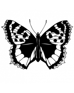 papillon2