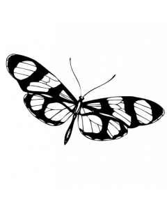 papillon3