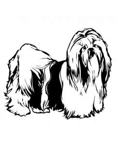 chien6