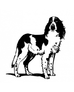 chien7