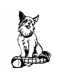 chien8