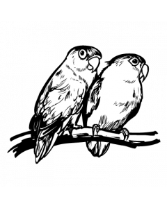 oiseau1